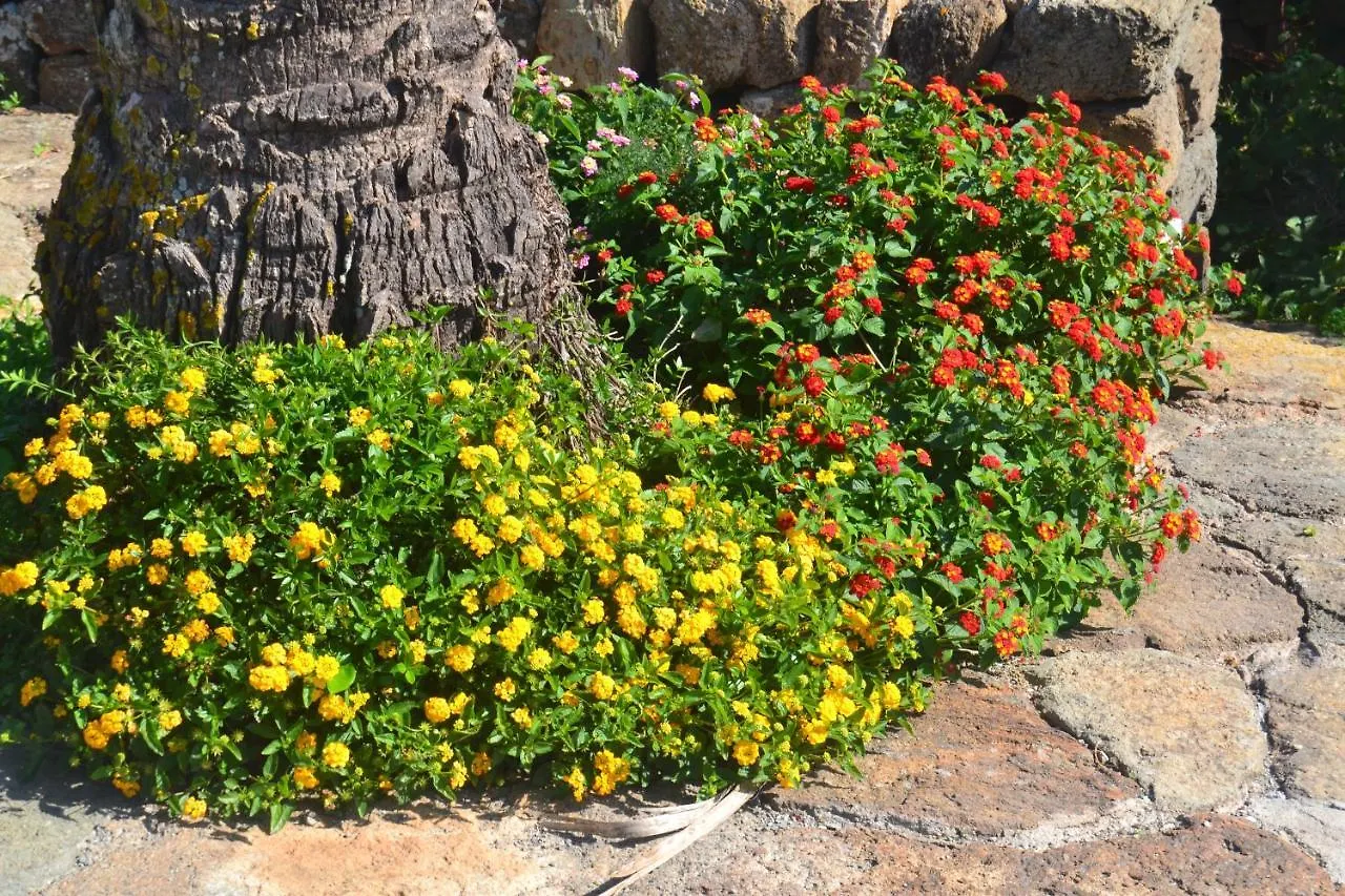 Agriturismo Zinedi Pantelleria
