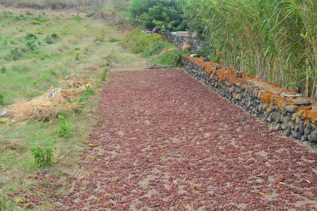 Agriturismo Zinedi Pantelleria 0*,